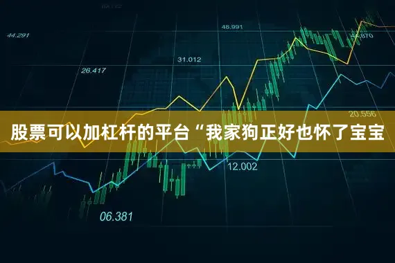 股票可以加杠杆的平台“我家狗正好也怀了宝宝